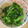 ももます's cooksnap of when they made 小松菜の胡麻マヨネーズ和え.