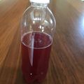 はるじおんk's cooksnap of when they made ★自家製酵母液で作る炭酸ジュース★.
