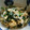 沙弥や's cooksnap of when they made にらともやしの炒め物☆.
