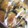 ちびまめママ◎'s cooksnap of when they made 簡単！お弁当や作り置き♪なすのからし味噌.