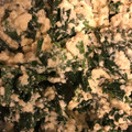 ポチュポチュの実's cooksnap of when they made ハンダマとシーチキンの琉木綿白和え.