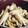 みっくママ's cooksnap of when they made きのこのオイスター炒め☆.