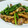 ねここfm's cooksnap of when they made 鶏肉とにんにくの芽のオイスター炒め.
