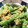map2511's cooksnap of when they made いんげんの胡麻和えコクプラス♪.