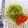 ◆◇Wtiti＊◇◆'s cooksnap of when they made 超簡単！きゅうりの酢の物.