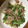 クックUZP1NX☆'s cooksnap of when they made 簡単、時短！水菜の豚バラのとろ～り炒め♪.