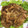 エリンギウム's cooksnap of when they made 簡単★豚肉のしょうが焼き.