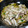 ｷｯﾁﾝtoco's cooksnap of when they made マイカとしめじのアヒージョ.