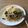 ぽっぽづま's cooksnap of when they made 【龍愛】ツナと大葉のあっさりパスタ.