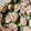 クックV6UXVK☆'s cooksnap of when they made 簡単おつまみ★おさかなソーセージきゅうり.