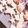 なつみかん626's cooksnap of when they made 簡単サクサク☆型抜きクッキー☆.