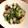 Kaede_cat's cooksnap of when they made ☆簡単☆豆苗とあさりの酒蒸し.