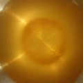 ☆★konkon☆★'s cooksnap of when they made 作り置きしよう！簡単な昆布かつおだし.
