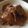 とッチ's cooksnap of when they made 豚肉の照り焼き.