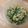 しゅうう's cooksnap of when they made ピーマンの明太子炒め.