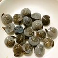 日と月's cooksnap of when they made ながらみの塩茹で.