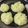 蟹のカノン's cooksnap of when they made お弁当にも彩り玉ねぎのもちもちしゅうまい.
