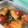 めぎゅんぎゅん's cooksnap of when they made 【作り置き】鮭と豆苗の南蛮漬け.