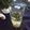 Amalka's cooksnap of when they made ミントとキウイのgreen×2モヒート.