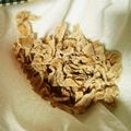 ひなはる☺ママ's cooksnap of when they made 新生姜のお菓子.