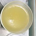 クック82MWY5☆'s cooksnap of when they made 野菜ジュースと牛乳のゼリー.