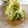 solapapa's cooksnap of when they made キャベツとカニカマの酢の物.