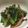 りる猫's cooksnap of when they made 時短簡単‼小松菜なめたけ.