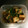のえもゆ's cooksnap of when they made ☆厚揚げのしょうが焼き~豆鼓いり☆.