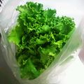 おまめちゃん♥️'s cooksnap of when they made 【一週間もたせる】サニーレタスの保存方法.