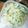 枝っち's cooksnap of when they made ✿切干大根とカマンベールの味噌和サラダ✿.