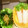 ともかずみみ's cooksnap of when they made 小松菜ののり和え：お弁当野菜おかず.
