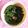 ロイヤルミルク♪'s cooksnap of when they made 簡単！いんげんの胡麻和え.