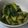 mito*mito's cooksnap of when they made 簡単！たたききゅうり☆.