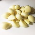 ３匹の大ぶたママ's cooksnap of when they made ストレスフリー☆にんにくの剥き方.
