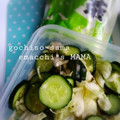 えまっちママ's cooksnap of when they made 速攻・簡単＊キャベツときゅうりの浅漬け＊.