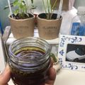 ユリchan＊'s cooksnap of when they made カラメルソース＆カラメルタブレット.