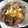 煌煌♪'s cooksnap of when they made お出汁香る簡単和風焼うどん.