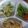 クックQGDEV5☆'s cooksnap of when they made チキンのトマト煮込み　炊飯器.
