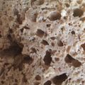 イワシクジラ's cooksnap of when they made ライ麦100胡桃と干葡萄のドイツパンHB.