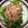 マサプリ's cooksnap of when they made ゴーヤとミョウガのおひたし.
