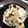 ちゃっきぃさん's cooksnap of when they made シラタキとエノキのダシダ煮.
