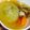 クック4MJ48Z☆'s cooksnap of when they made 炊飯器で簡単！丸ごとオニオンスープ♪.