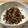 クックBNQ0NP☆'s cooksnap of when they made 大豆とひじきの煮物.