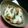 小鳥♪'s cooksnap of when they made やわらか手羽のヘルシィ味噌カレー煮込み.