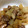 Ayasan❁'s cooksnap of when they made 【作り置き】お弁当用 豚バラ大根.