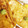 cooknyor❁'s cooksnap of when they made 揚げだし高野豆腐の照り焼わさび.