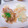 クックS31G7A☆'s cooksnap of when they made 手抜きでもおいしく！豚の生姜焼き.