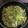 marisyun's cooksnap of when they made きゃべつとジャガイモのカレー炒め.