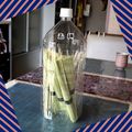 もぐもぐ人's cooksnap of when they made ペットボトル保存お米、パスタ、そうめん等.