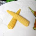 mielle's cooksnap of when they made ヤングコーンの素揚げ～変わり塩で.